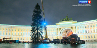 Главную новогоднюю ель Петербурга доставили на Дворцовую площадь - ГТРК Санкт-Петербург