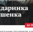 «Мандаринка и тушёнка»: Петербургское «Яблоко» поддержит новогодний сбор подарков для бездомных - Партия Яблоко