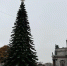 После обеда 11 декабря в Петербург нагрянет мороз - Neva.Today
