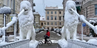 Фото: Павел Даиси / MR7 - Мой район