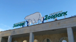 Ленинградский зоопарк 31 декабря будет работать до 15 часов - tvspb.ru