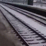 Под Петербургом арестовали мужчину, ударившего женщину в электричке - Петербургский дневник