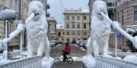 Фото: Павел Даиси / MR7 - Мой район