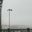 Петербургская погода закроет глаза жителям на гололед - Neva.Today