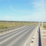 Смерть петербурженки на перекрестке оценили в 1 млн рублей: кто виноват? - Neva.Today