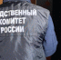 Следователи разыскивают в Петербурге распространителя фейков про ВС РФ - Петербургский дневник