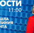 Новости Петербурга к 11:00 - tvspb.ru - ТК Санкт-Петербург