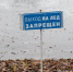 В Ленобласти 22 декабря похолодает местами до -12 градусов - Spbdnevnik.ru