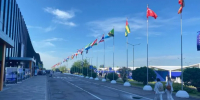 Президент Азербайджана не приедет на неформальный саммит СНГ в Петербург - ГАZЕТА.СПб