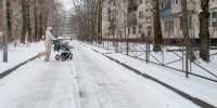 Снежный покров в Петербурге достиг 8 сантиметров: впервые в этом сезоне - Spbdnevnik.ru