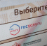 Григоренко рассказал про самую популярную «жизненную ситуацию» на «Госуслугах» в уходящем году - Spbdnevnik.ru