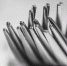 fork-839244_1280 - Вестник СЗФО
