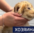Вести 24 - ГТРК Санкт-Петербург