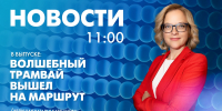 Новости Петербурга к 11:00 - tvspb.ru - ТК Санкт-Петербург