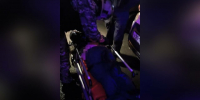 Зубастую петербурженку отправили в больницу с помощью росгвардейцев после нападения бригаду скорой - Neva.Today