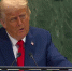 Дональд Трамп назвал телефонный разговор с Владимиром Путиным очень продуктивным - Петербургский дневник