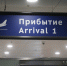 Петербуржцы уже почти сутки не могут вылететь в Калининград - Spbdnevnik.ru