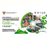 29 ноября Санкт‑Петербург примет финал чемпионата «Профессионалы» 2025 года