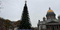 После холодного старта января в Петербурге начало теплеть - Neva.Today