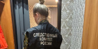 Убийство из ревности: ранее судимый мужчина забил сожительницу скалкой и ударил ножом в Коммунаре - tvspb.ru - ТК Санкт-Петербург