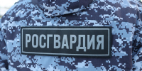 Местный «Отелло» был задержан нарядом Росгвардии в Гатчинском районе - Петербургский дневник
