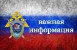 ГСУ СК России по городу Санкт-Петербургу напоминает о правилах безопасности при запуске фейерверков и петард