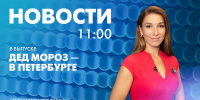 Новости Петербурга к 11:00 - tvspb.ru - ТК Санкт-Петербург