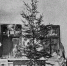 Фотография («Нива». № 51. 19 декабря 1915. С. 954) - Вода Живая