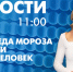 Новости Петербурга к 11:00 - tvspb.ru - ТК Санкт-Петербург