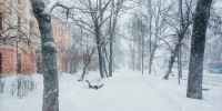 10 января Петербург накроет метель - tvspb.ru - ТК Санкт-Петербург
