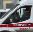 Лошадь сильно травмировала двухлетнюю девочку в Ломоносовском районе - Комсомольская правда