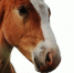 Фото: Pixabay - Мой район