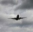 Все аэропорты Москвы работают штатно - Петербургский дневник