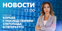 Новости Петербурга к 11:00 - tvspb.ru - ТК Санкт-Петербург