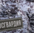 На Васильевском острове росгвардейцы задержали обнаженную пассажирку трамвая - tvspb.ru - ТК Санкт-Петербург