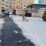 Под руководством главы администрации Виктора Полунина прошло традиционное заседание штаба по благоустройству - Выборгский район