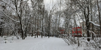 Петербуржцам пообещали морозный день и -18 °C - Санкт-Петербург.ру
