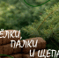 Акция «Ёлки, палки и щепа» в Кировском районе - Кировский район
