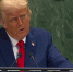 Трамп считает, что Россия готова заключить сделку в отличие от Зеленского - Петербургский дневник
