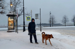 Синоптик Ильин: Морозы в Петербурге продлятся минимум до 22 января