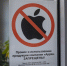 В Петербурге участились атаки аферистов на владельцев Apple - Spbdnevnik.ru