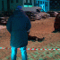 Уличный конфликт на улице Архивной стал уголовным делом по статье "Убийство" - ГТРК Санкт-Петербург