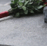 В Петербурге проведут памятные мероприятия в честь годовщины прорыва блокады - Санкт-Петербург.ру