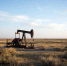 Нефтегазовые доходы России в 2025 году снизились - Spbdnevnik.ru