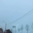 Густой туман накрыл Петербург 19 января - Комсомольская правда