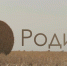 О Родине – через искусство: о талантах освобождённых исторических регионов России в новом фильме - Spbdnevnik.ru