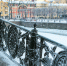 Петербург пожелтеет от морозов - Neva.Today