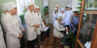 Как Петербург встретит День студента - Петербургский дневник