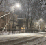 Петербуржцев предупредили о похолодании до -20 °C - Санкт-Петербург.ру