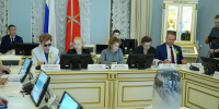 В Санкт-Петербурге собираются разработать порядок формирования реестра ремесленников - Законодательное собрание